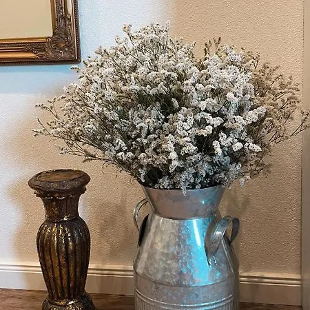 Weise Im Lausitzer-seenland غروسريشن