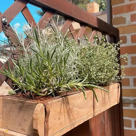 Διαμέρισμα Weise Im Lausitzer-seenland Grossraschen