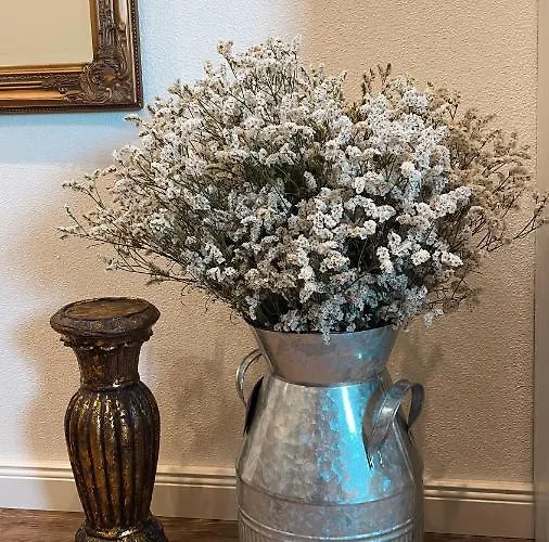 Weise Im Lausitzer-seenland Grossraeschen