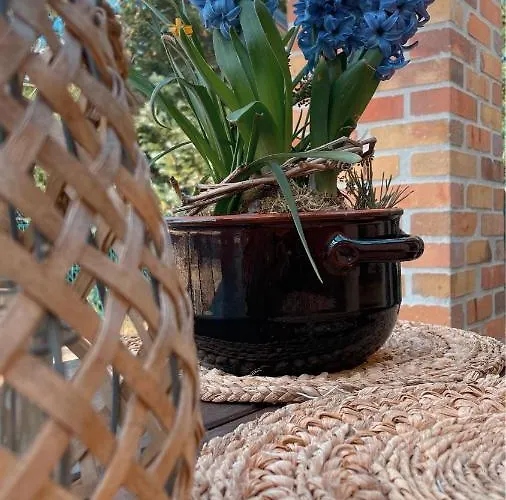 Apartament Weise Im Lausitzer-seenland *