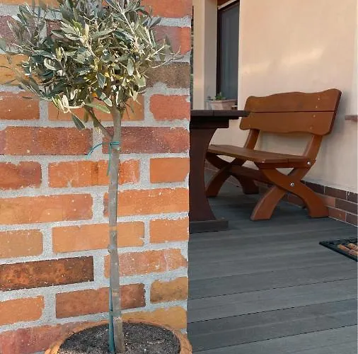 Apartament Weise Im Lausitzer-seenland